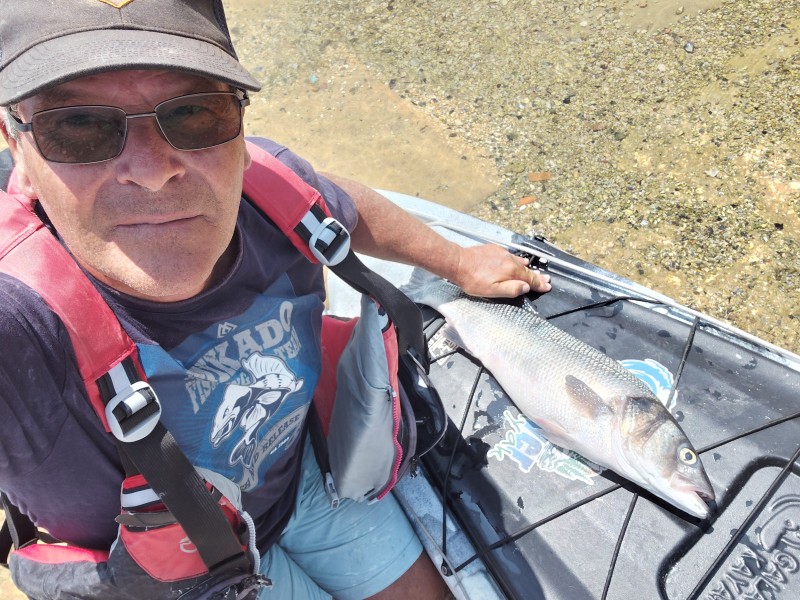 Fish Profile Picture