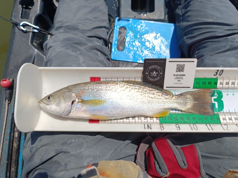Fish Measure Picture
