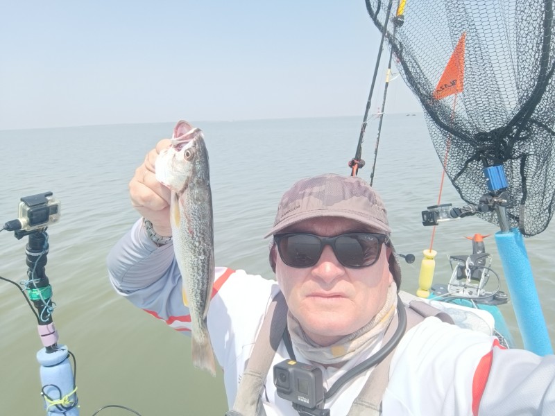 Fish Profile Picture