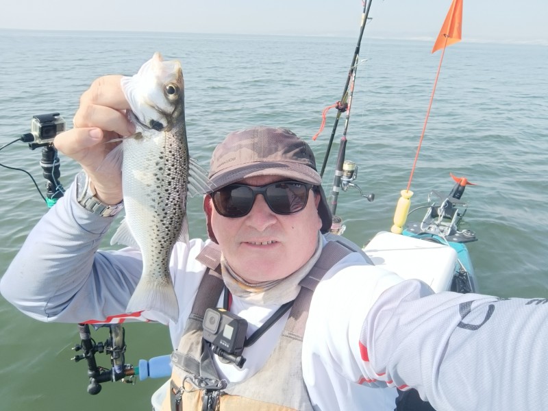 Fish Profile Picture