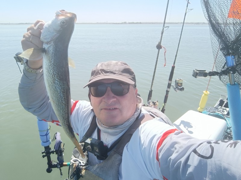 Fish Profile Picture