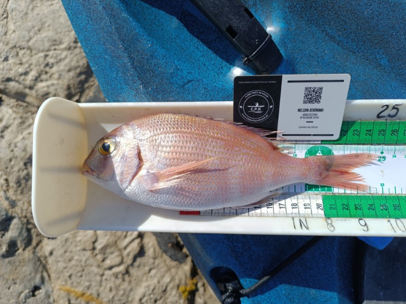 Fish Measure Picture