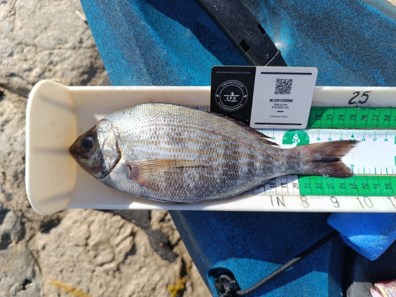 Fish Measure Picture