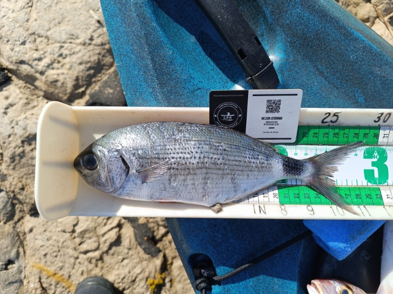 Fish Measure Picture