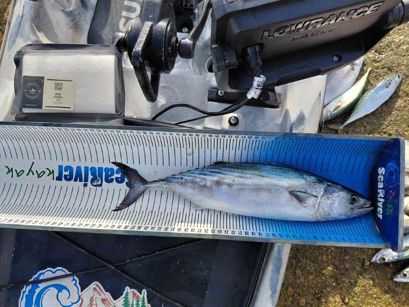 Fish Measure Picture