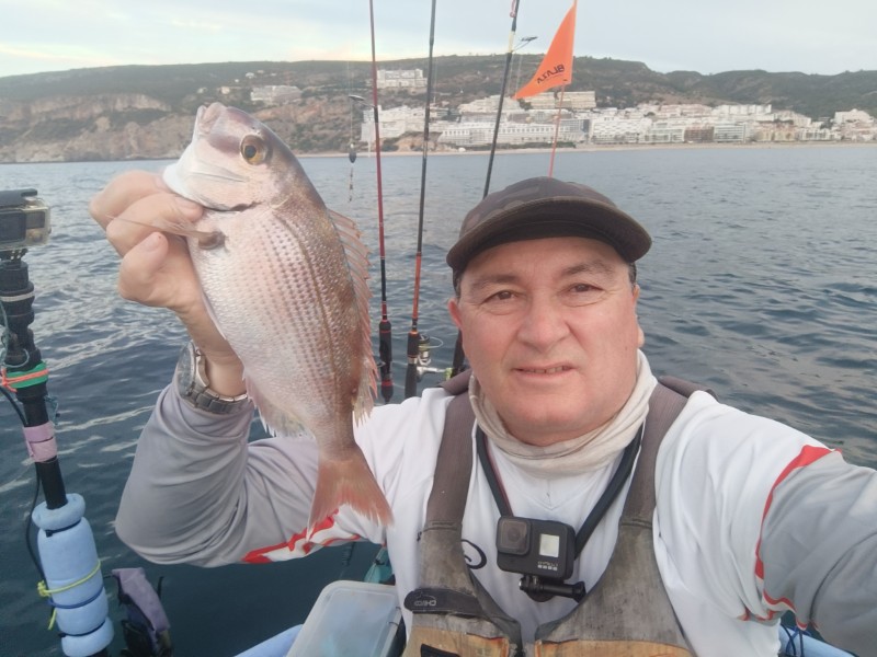 Fish Profile Picture