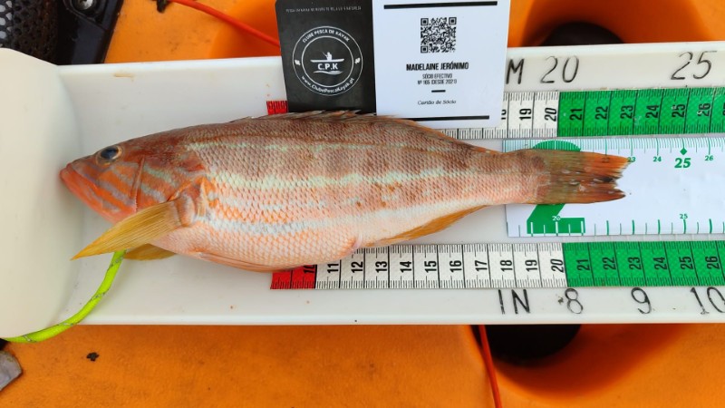 Fish Measure Picture