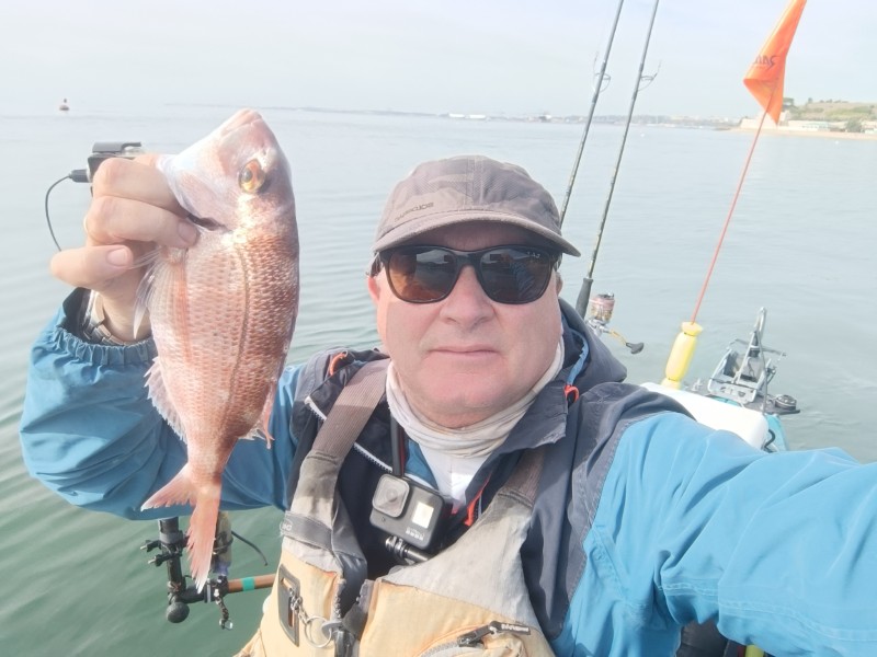 Fish Profile Picture