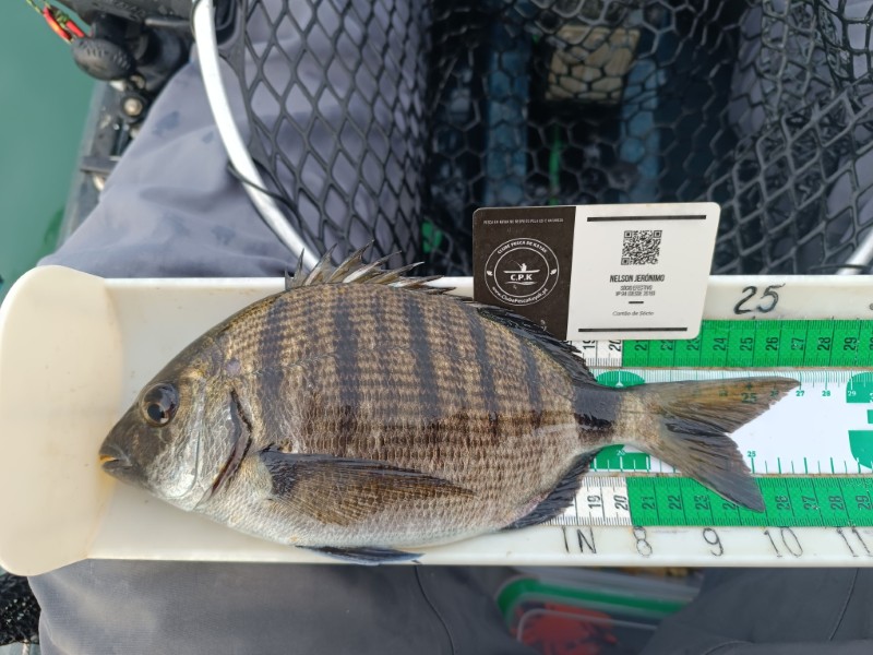 Fish Measure Picture