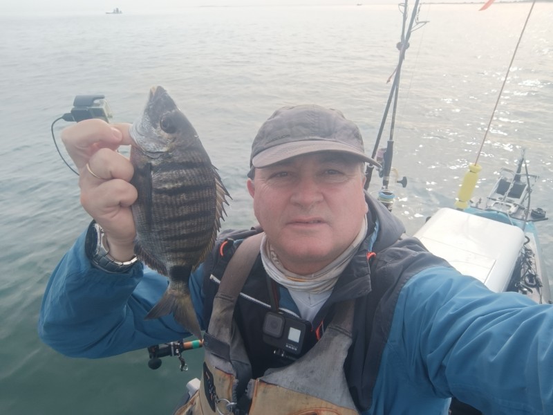 Fish Profile Picture