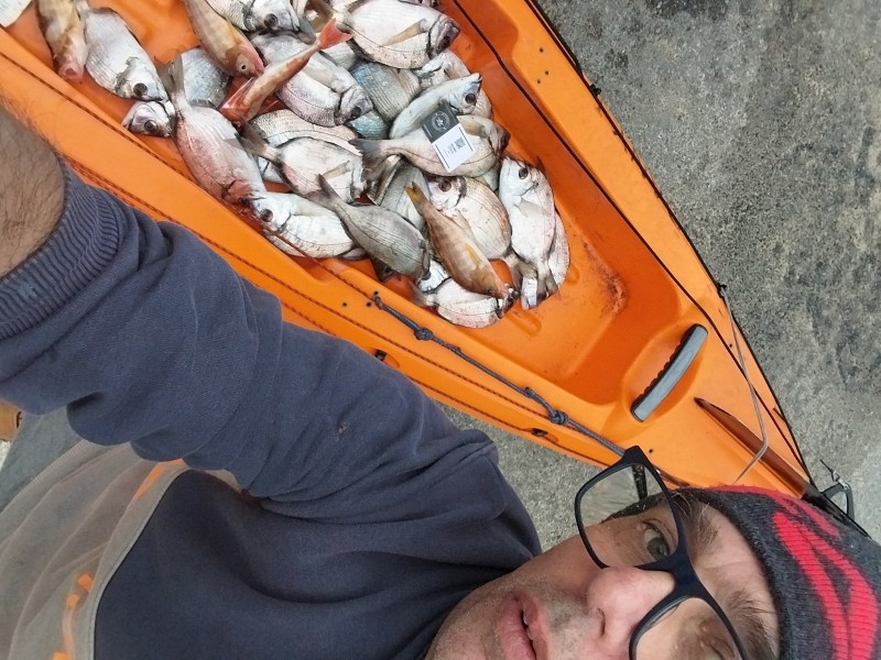Fish Profile Picture