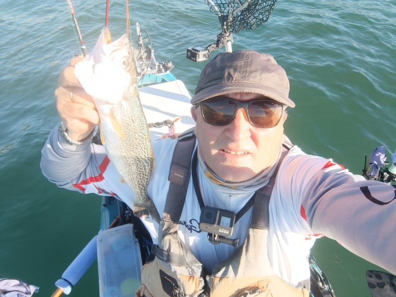 Fish Profile Picture