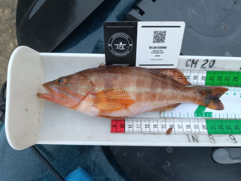 Fish Measure Picture