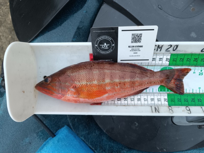 Fish Measure Picture
